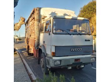 За превоз на животни камион IVECO 175.24 Turbo left hand drive 19 ton Manual Telma Cattle: снимка 1