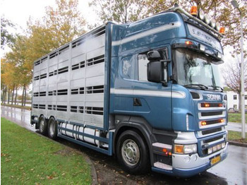 За превоз на животни камион Scania R500 V8 R500LB6X2*4MLA: снимка 1