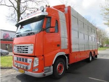 За превоз на животни камион Volvo FH 400: снимка 1