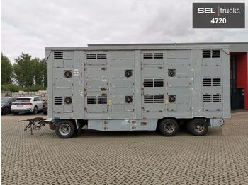 За превоз на животни ремарке Michieletto RM24 BPA / 3 Stock