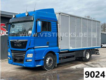 За превоз на животни камион MAN TGX 18.500