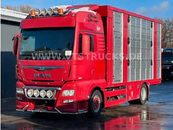 За превоз на животни камион MAN TGX 18.580