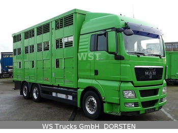 За превоз на животни камион MAN TGX 26.480