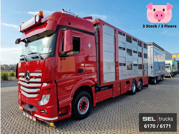 За превоз на животни камион MERCEDES-BENZ Actros