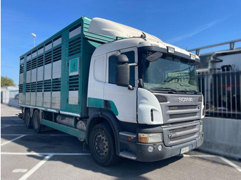 За превоз на животни камион SCANIA P 380