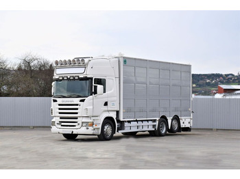 За превоз на животни камион SCANIA R 500