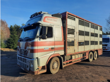 За превоз на животни камион VOLVO FH12