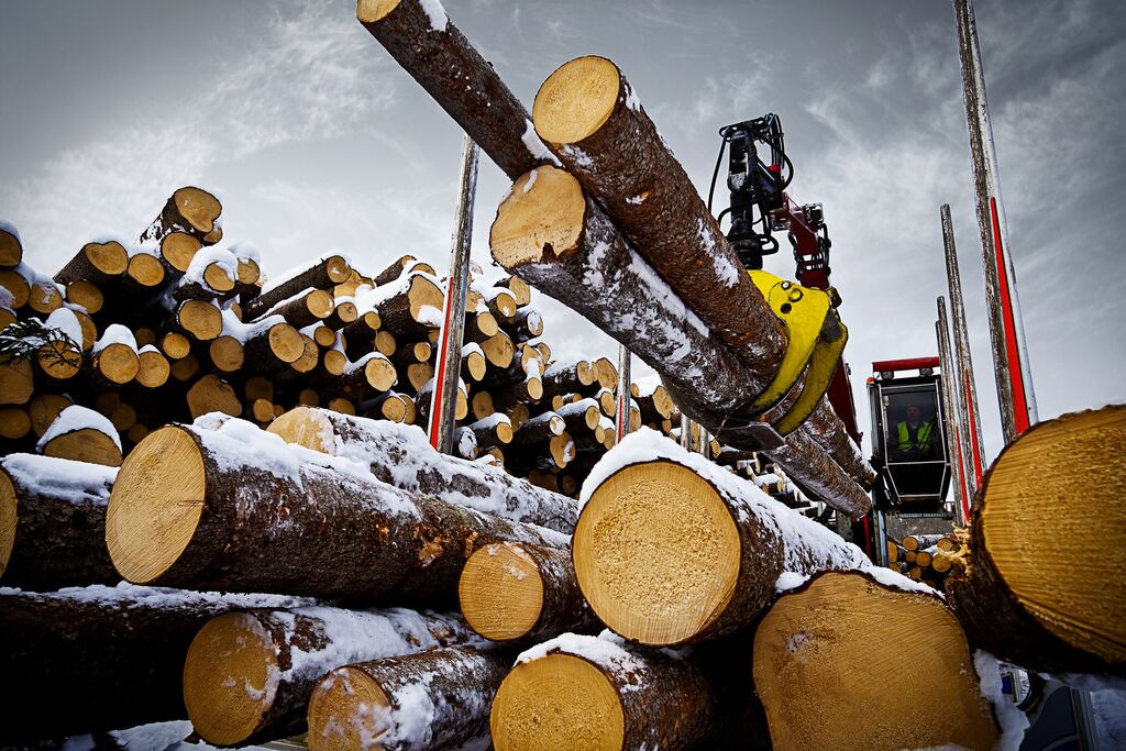 Tractoaredepadure.ro - Обяви за продажба undefined: снимка 8