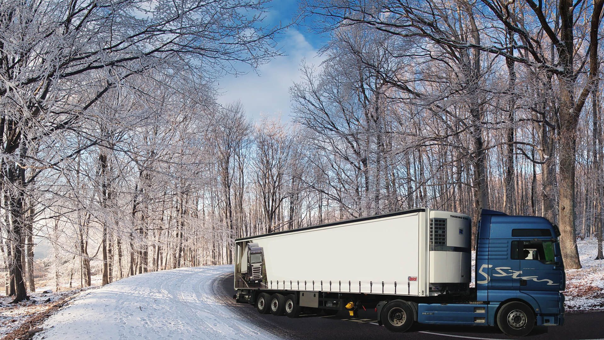 BRF REFRIGERATED TRAILER undefined: снимка 3