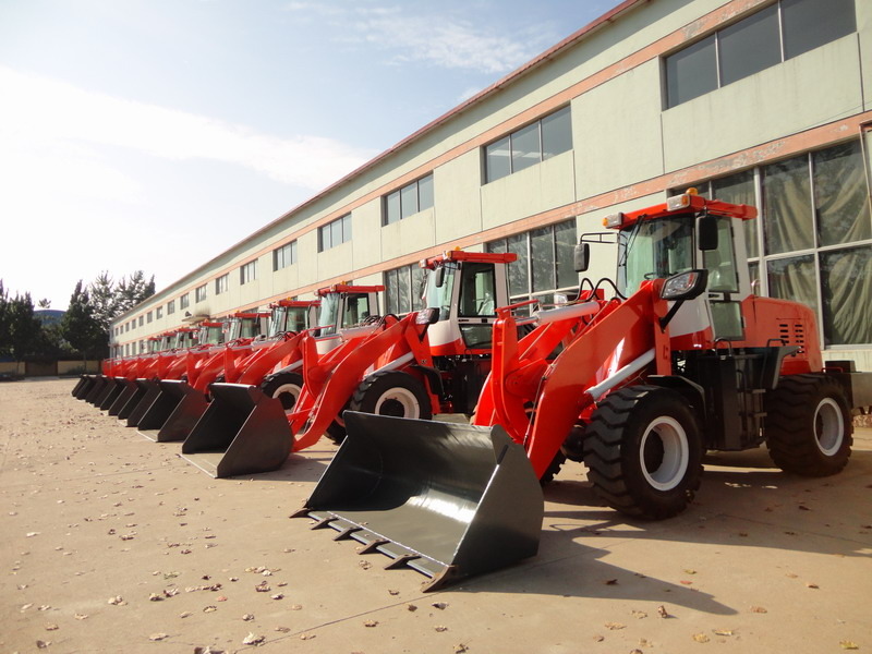 QINGDAO PROMISING INTERNATIONAL CO., LTD. undefined: снимка 4