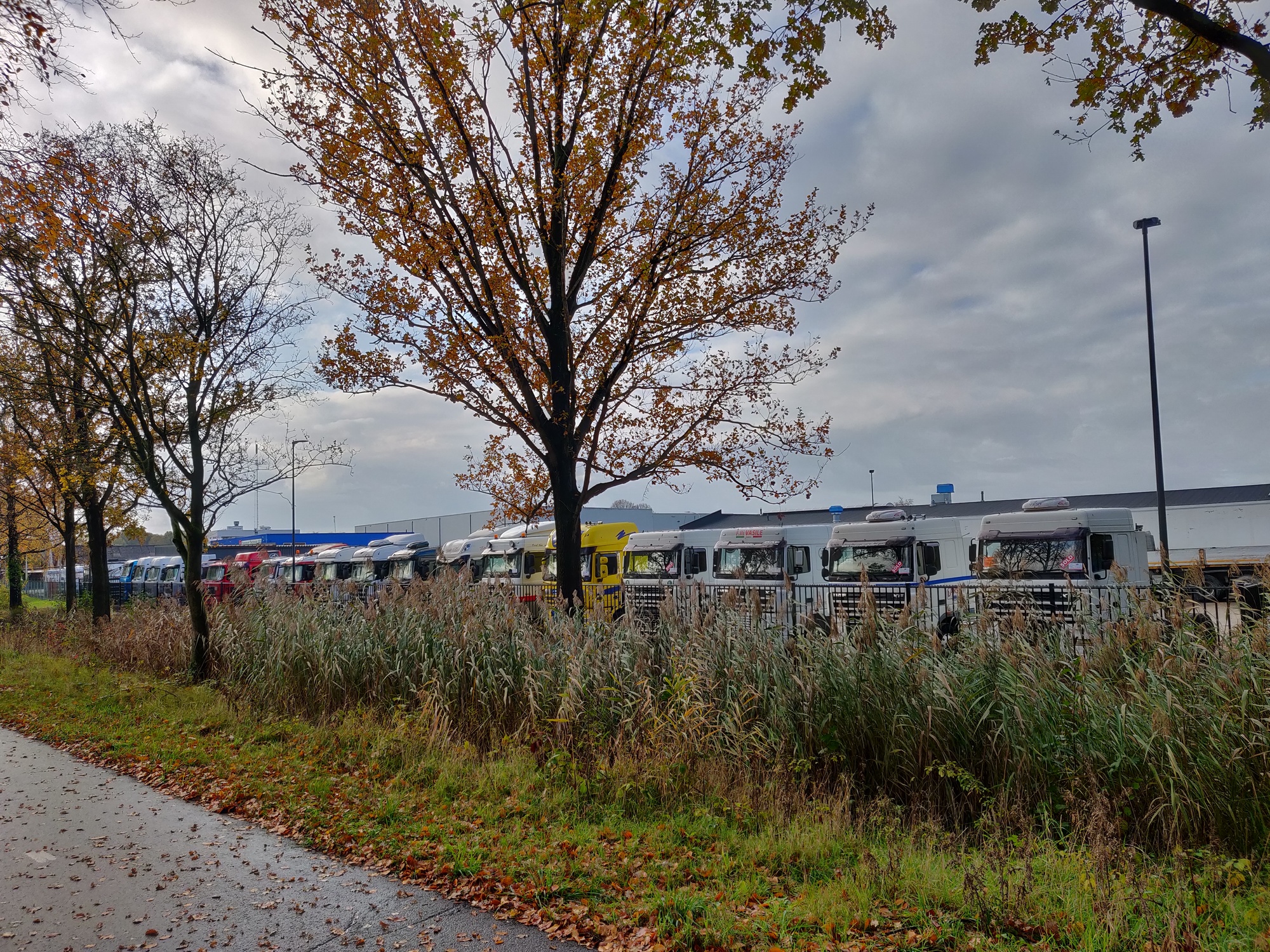 Truck Trading Holland undefined: снимка 17