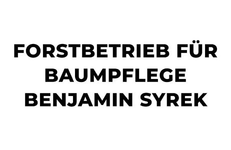Forstbetrieb für Baumpflege Benjamin Syrek на Truck1