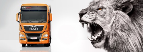 Влекач MAN TGX 18.480 4X2 BLS