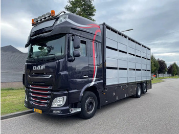 За превоз на животни камион DAF XF 460