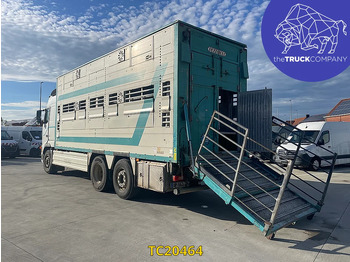 За превоз на животни камион Volvo FH 480: снимка 2