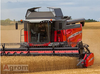Лизинг на Massey Ferguson 7360 Beta Massey Ferguson 7360 Beta: снимка 1