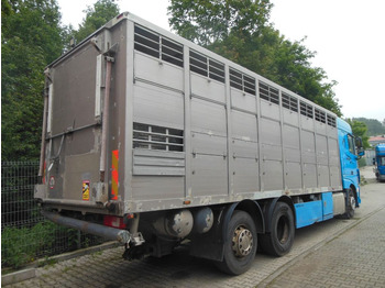 За превоз на животни камион DAF XF 106.460, MENKE-JANZEN, UNFALL-FAHRBAR!!: снимка 3