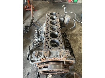 Двигател за Селскостопанска техника New holland silnik Model: F4DE9687 , model type: 667TA , części  blok wał głowica korbowód: снимка 5