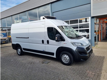 Хладилен бус FIAT Ducato Maxi