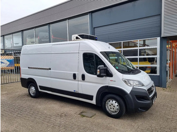 Хладилен бус FIAT Ducato Maxi