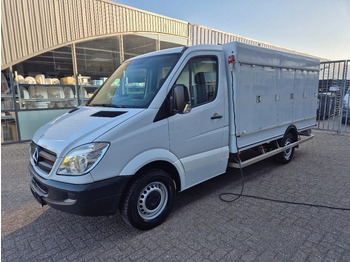 Хладилен бус Mercedes-Benz Sprinter 313 CDI 5+5 Turen TIEFFROST -40C Carlsen Baltic E5: снимка 4
