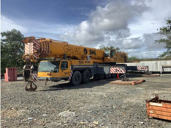 Кран за всякакви терени LIEBHERR