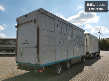 За превоз на животни камион DAF XF 105.460  / Intarder / 4 Stock / KOMPLETT !: снимка 5