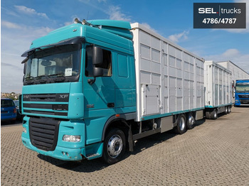 За превоз на животни камион DAF XF 105.460  / Intarder / 4 Stock / KOMPLETT !: снимка 2