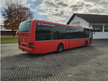 Междуградски автобус MAN Lion´s Regio R12 53+1+1 Sitze / Klima / 6 Gang: снимка 4