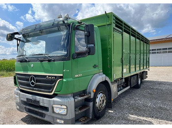 За превоз на животни камион MERCEDES-BENZ Axor 1833