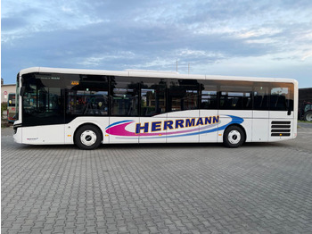 Градски автобус MAN Lion's Intercity LE 12: снимка 5