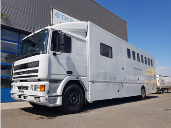 Камион за коне DAF 95 350