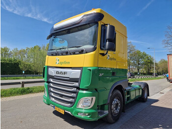 Влекач DAF XF 480 Welgro blower: снимка 1
