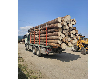 Камион за дърва За превоз на дървесина MAN 33.480 6x6: снимка 4