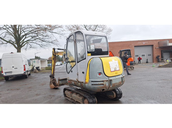 Колесен багер WACKER NEUSON Wacker Neuson 2503-WD Radbagger: снимка 4