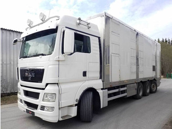 За превоз на животни камион MAN TGX