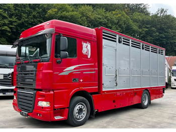 За превоз на животни камион DAF XF 105 460