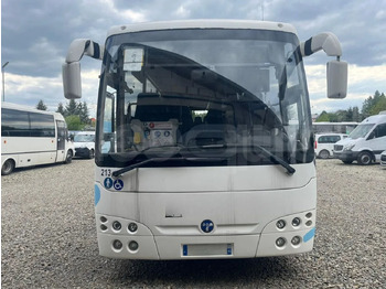 Градски автобус TEMSA