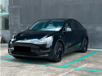 Лек автомобил TESLA
