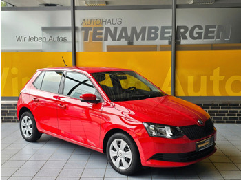 Лек автомобил ŠKODA
