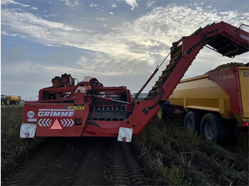 Картофокомбайн За превоз на хранителни стоки Grimme GV 3000: снимка 5