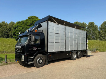 За превоз на животни камион VOLVO FM 300