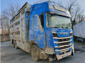За превоз на животни камион SCANIA R 580
