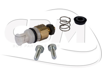 Врата и части IRISBUS