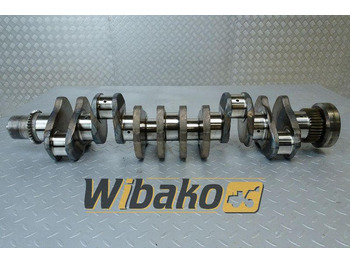 Колянов вал IVECO