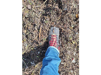 Индустриален шредер Alzinger Maschinenbau Lepton 5100 przesiewacz gwiazdowy do bioodpadów, kompostu oraz torfu: снимка 5