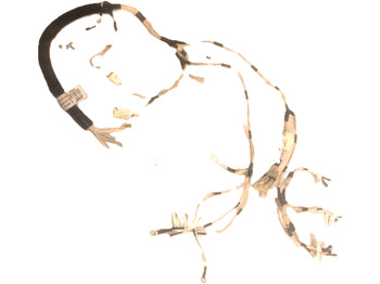 Кабели/ Жици CATERPILLAR