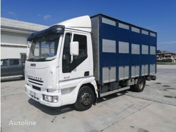 За превоз на животни камион IVECO EUROCARGO 100E18 TRASPORTO ANIMALI VIVI: снимка 1
