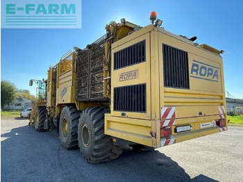 Комбайн за цвекло Ropa euro tiger: снимка 4 Комбайн за цвекло Ropa euro tiger: снимка 4