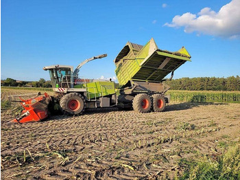 Селскостопанска техника CLAAS Jaguar